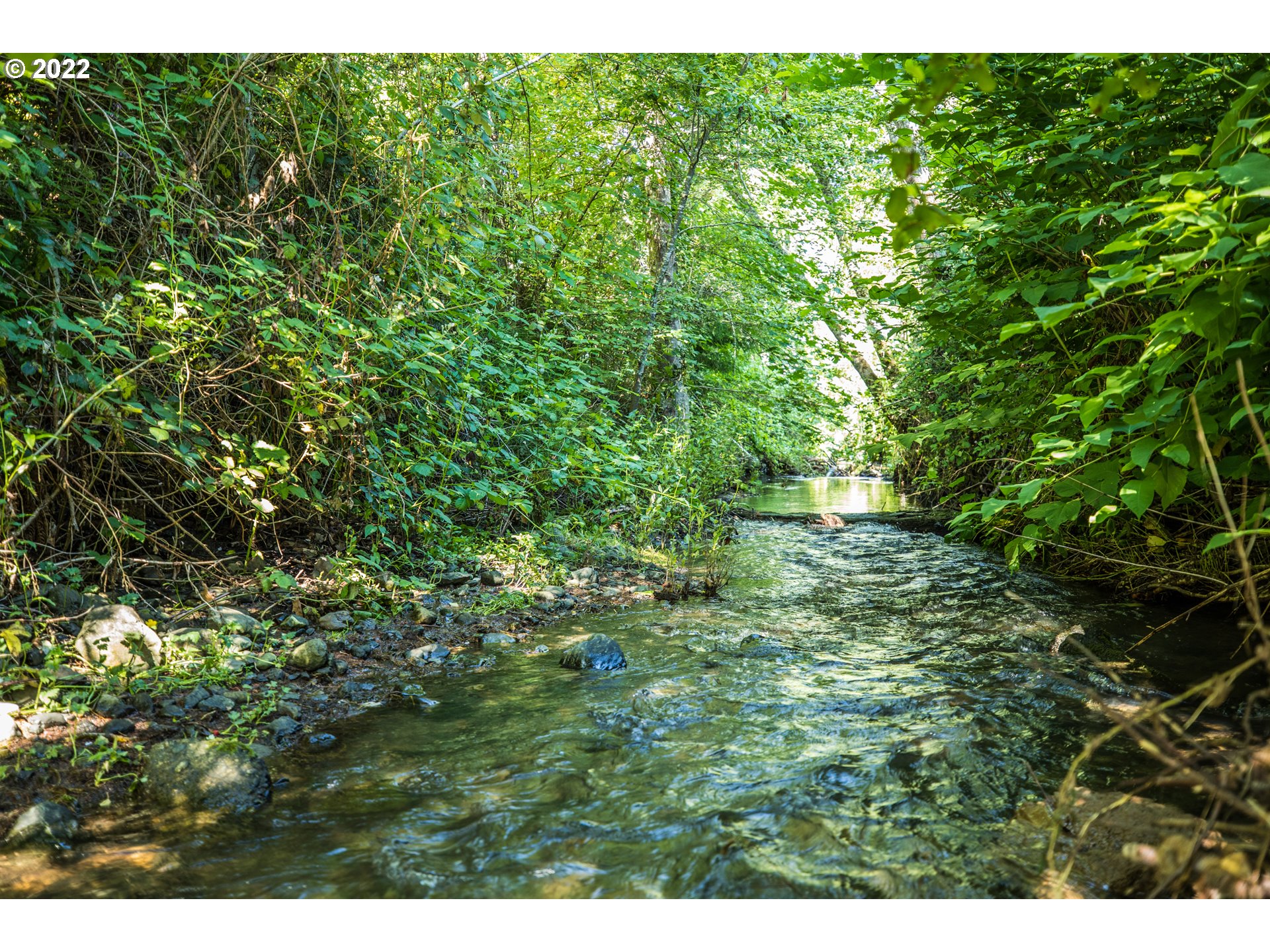 5006 Buckhorn Road Roseburg, OR 97470 - Photo 32 of 32 Creek