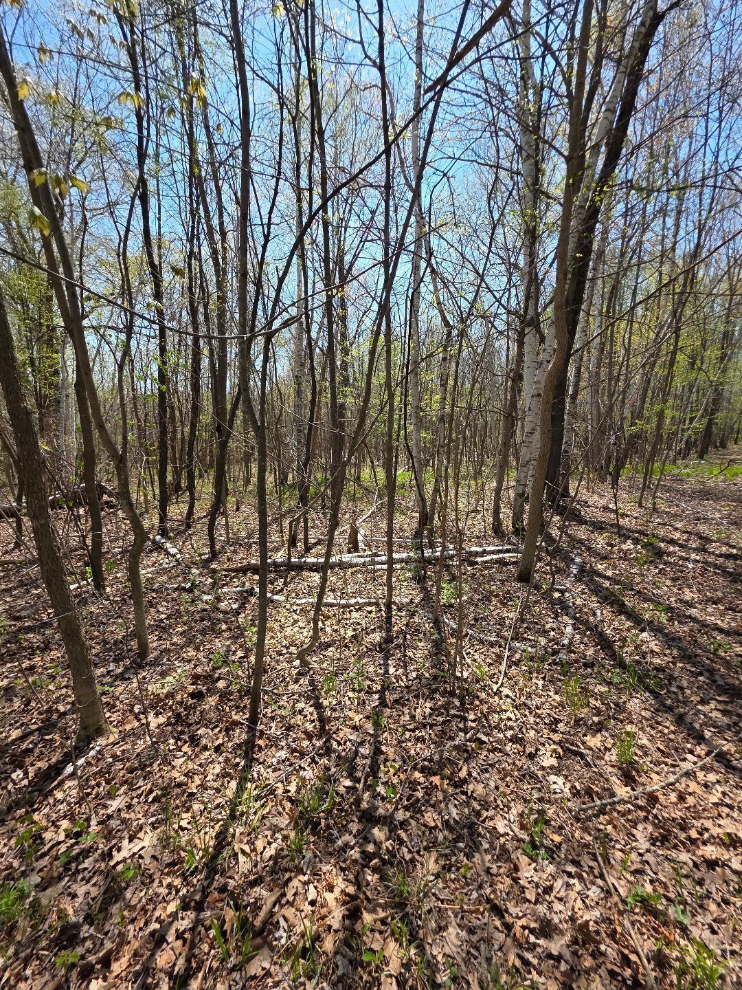 0 4th Clayton, WI 54004 - Photo 12 of 19