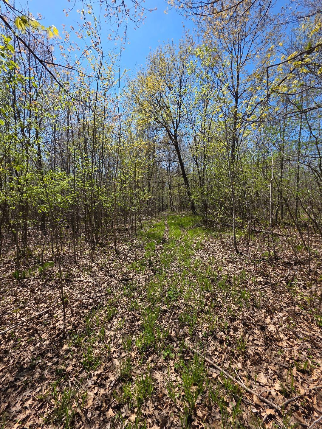 0 4th Clayton, WI 54004 - Photo 14 of 19