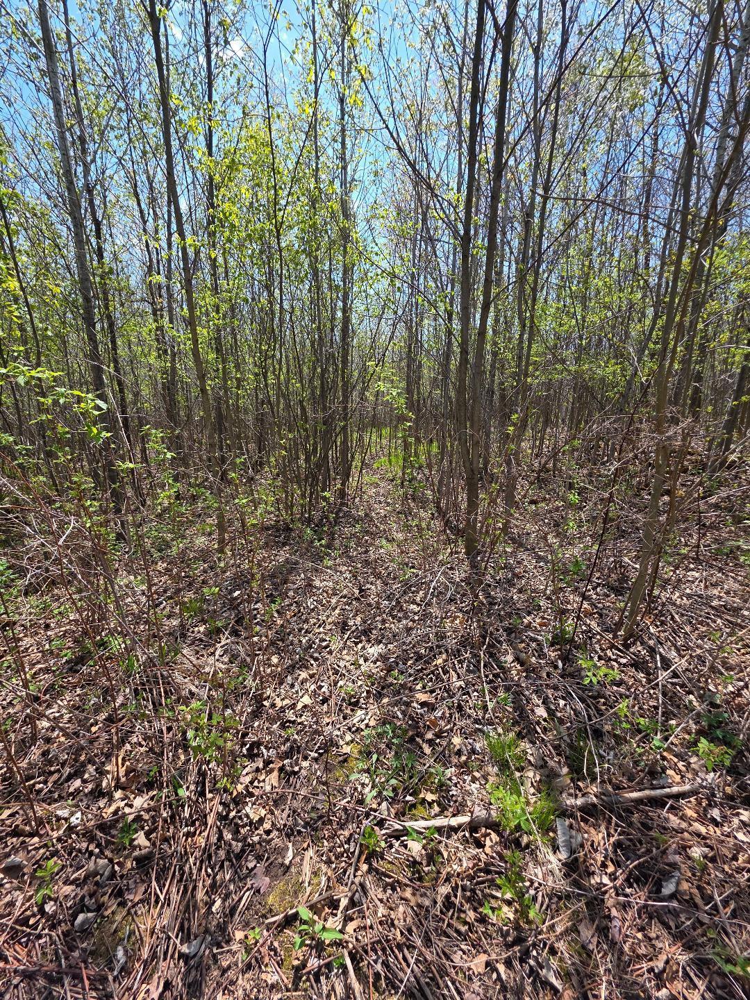 0 4th Clayton, WI 54004 - Photo 15 of 19