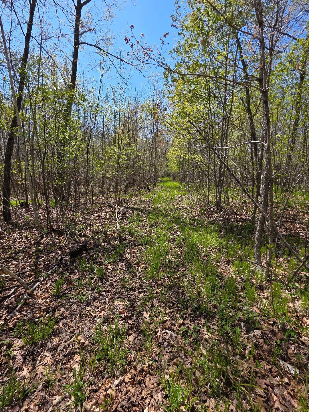 0 4th Clayton, WI 54004 - Photo 16 of 19