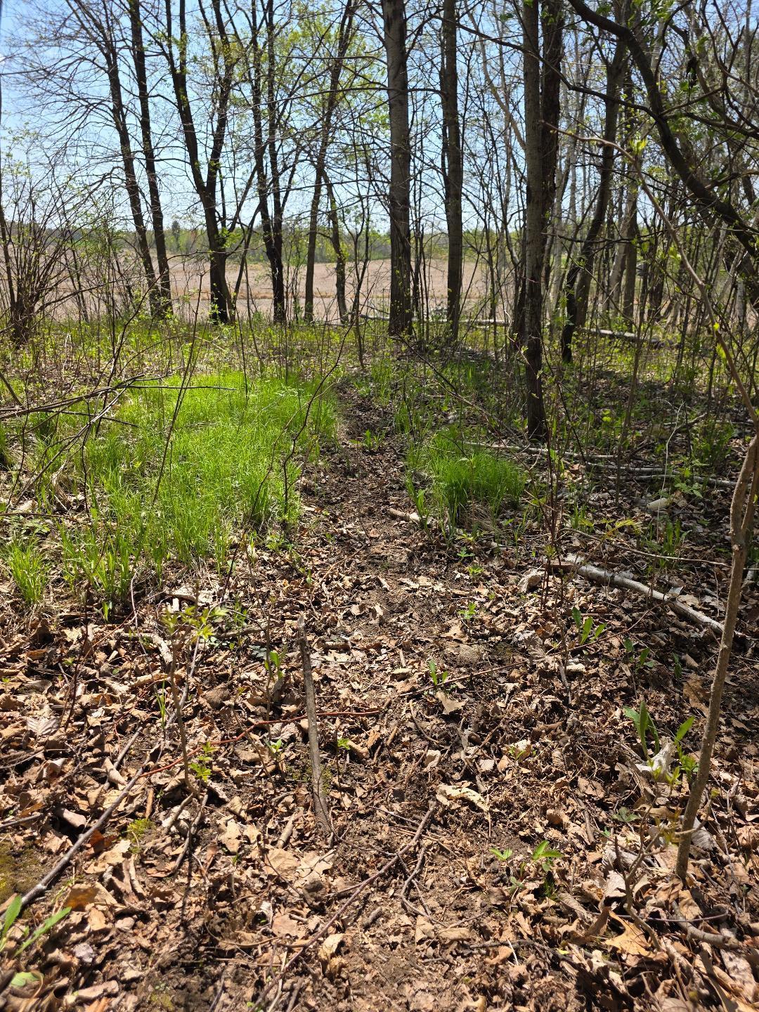 0 4th Clayton, WI 54004 - Photo 19 of 19