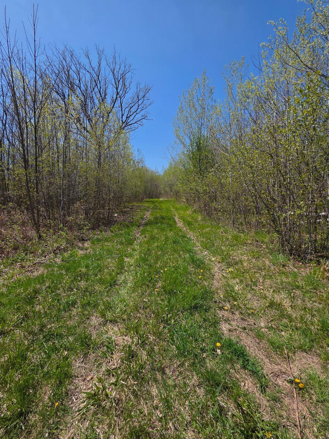 0 4th Clayton, WI 54004 - Photo 3 of 19