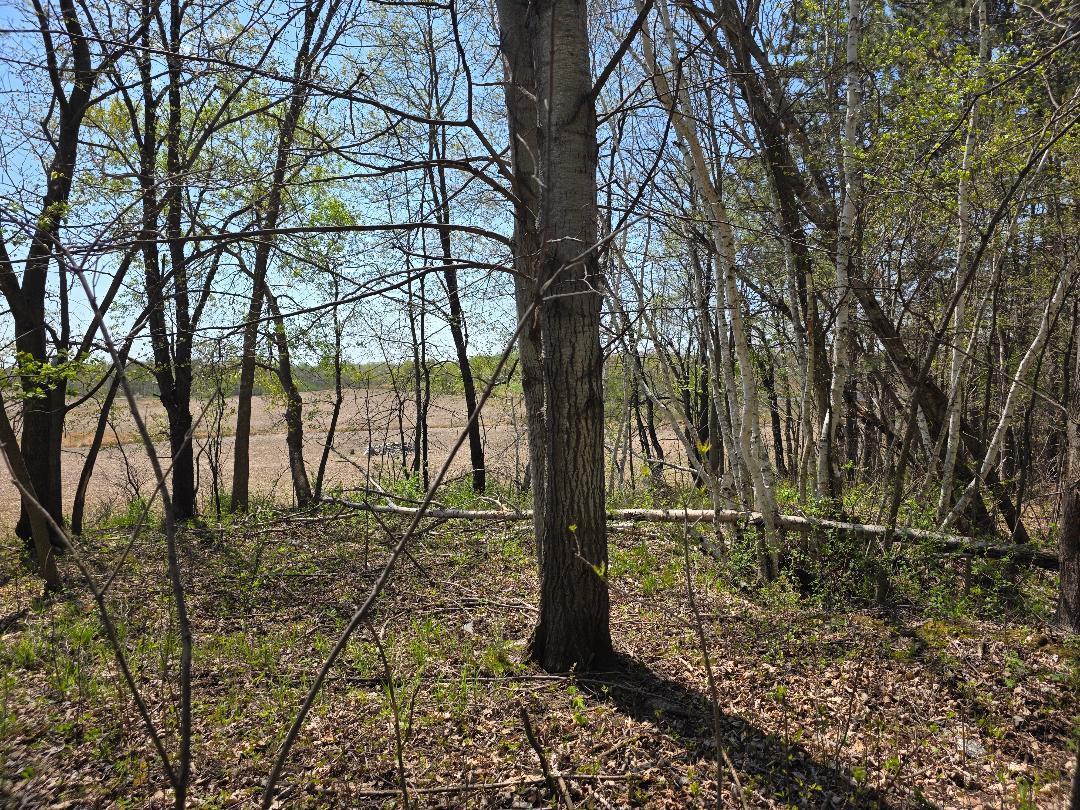 0 4th Clayton, WI 54004 - Photo 5 of 19