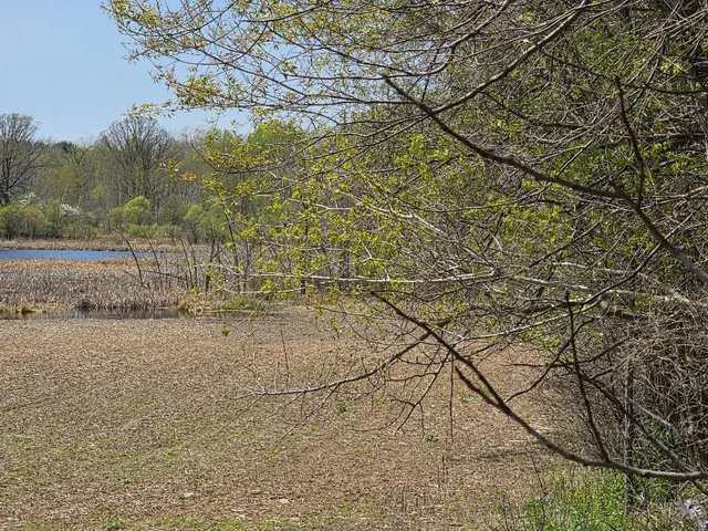 $240,000 | 0 4th, Clayton, WI 54004