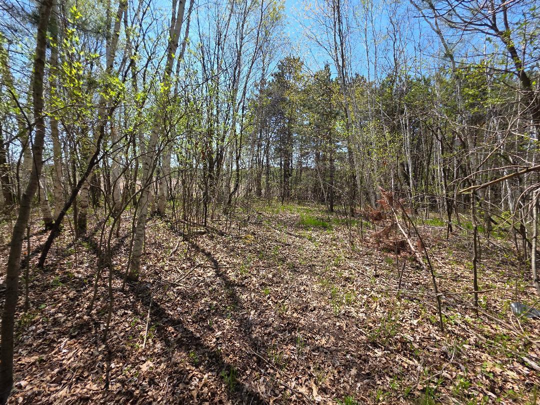 0 4th Clayton, WI 54004 - Photo 8 of 19