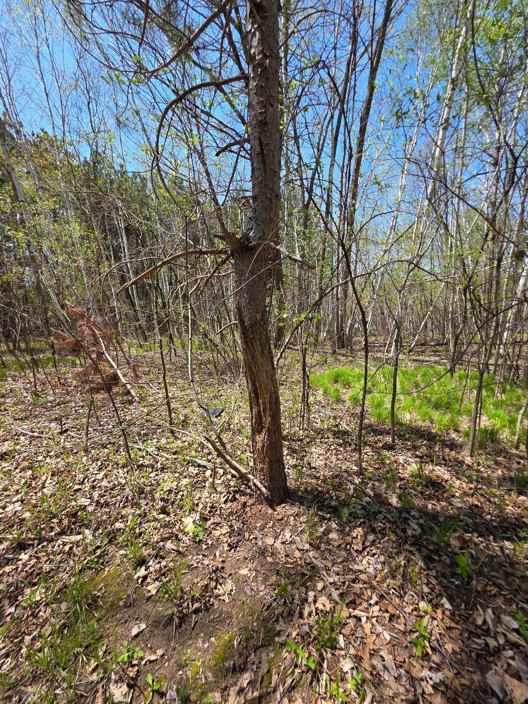 0 4th Clayton, WI 54004 - Photo 9 of 19