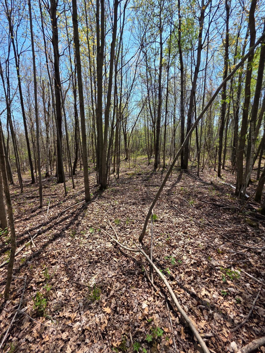 0 4th Clayton, WI 54004 - Photo 10 of 19