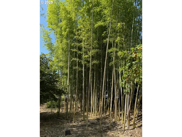 $215,000 | 202 Northeast Fulton Street, Roseburg, OR 97470