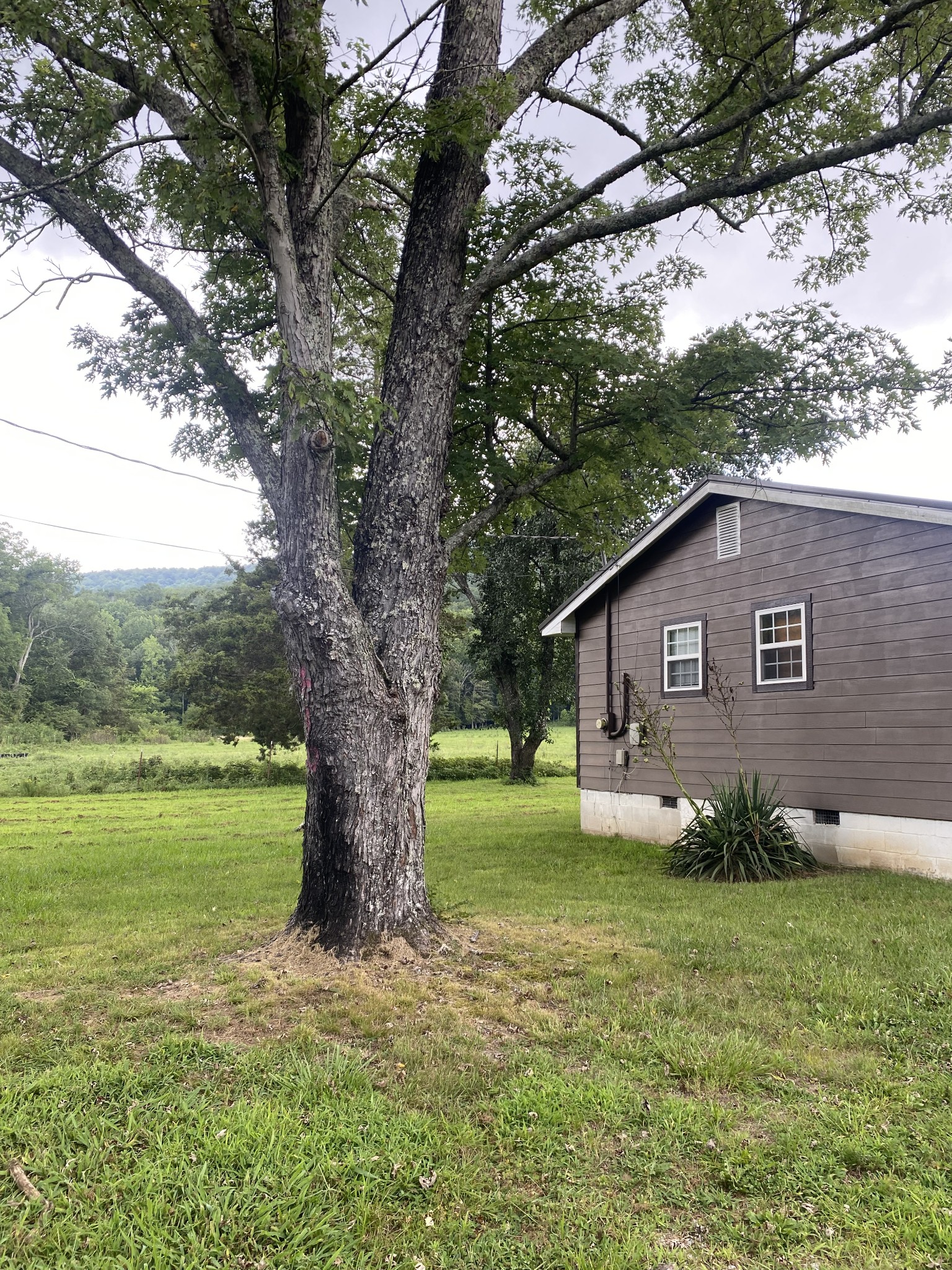410 Red Sartain Road Altamont, TN 37301 - Photo 4 of 31 Gallery Image 4