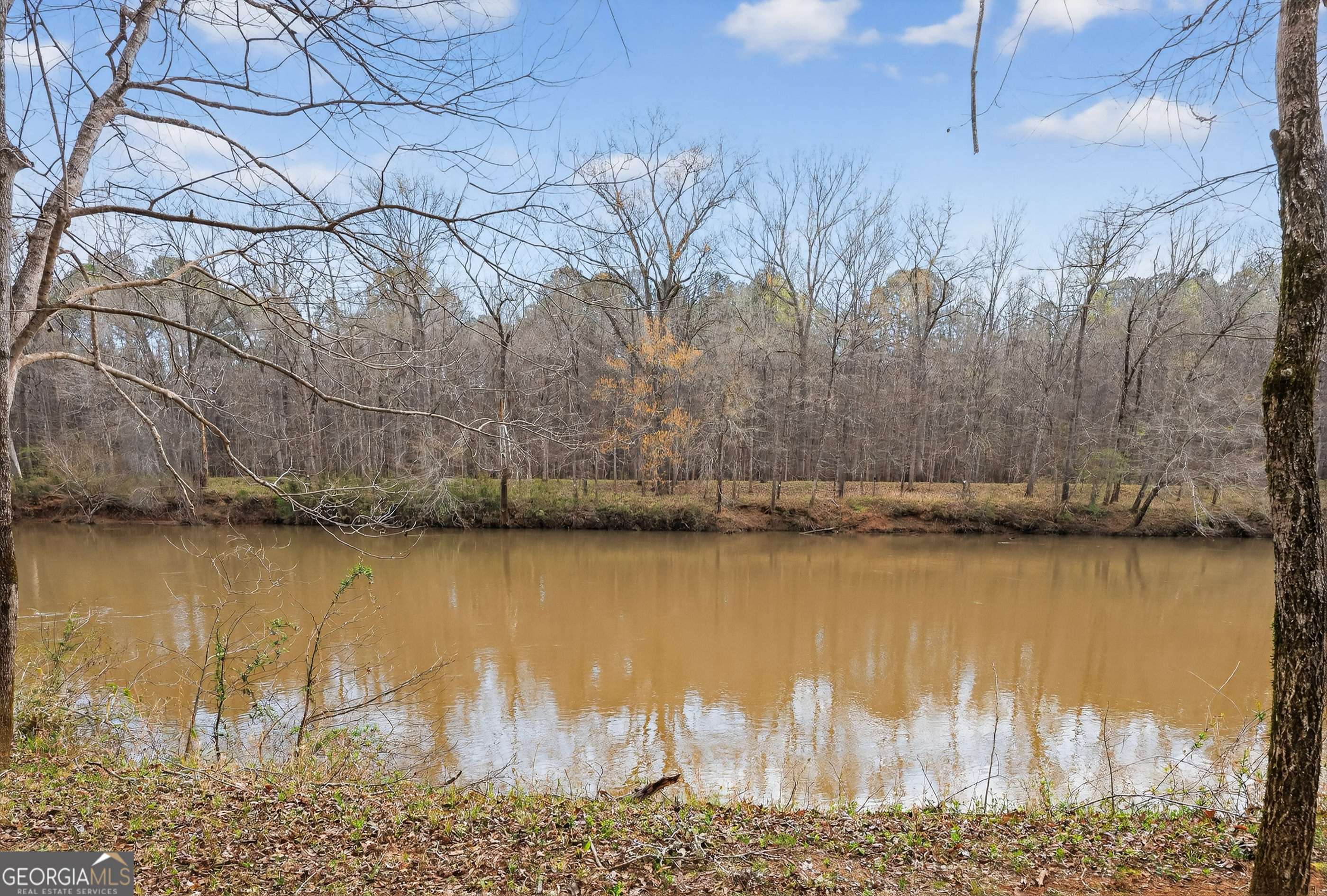 6243 Highway 83 Forsyth, GA 31029 - Photo 39 of 42