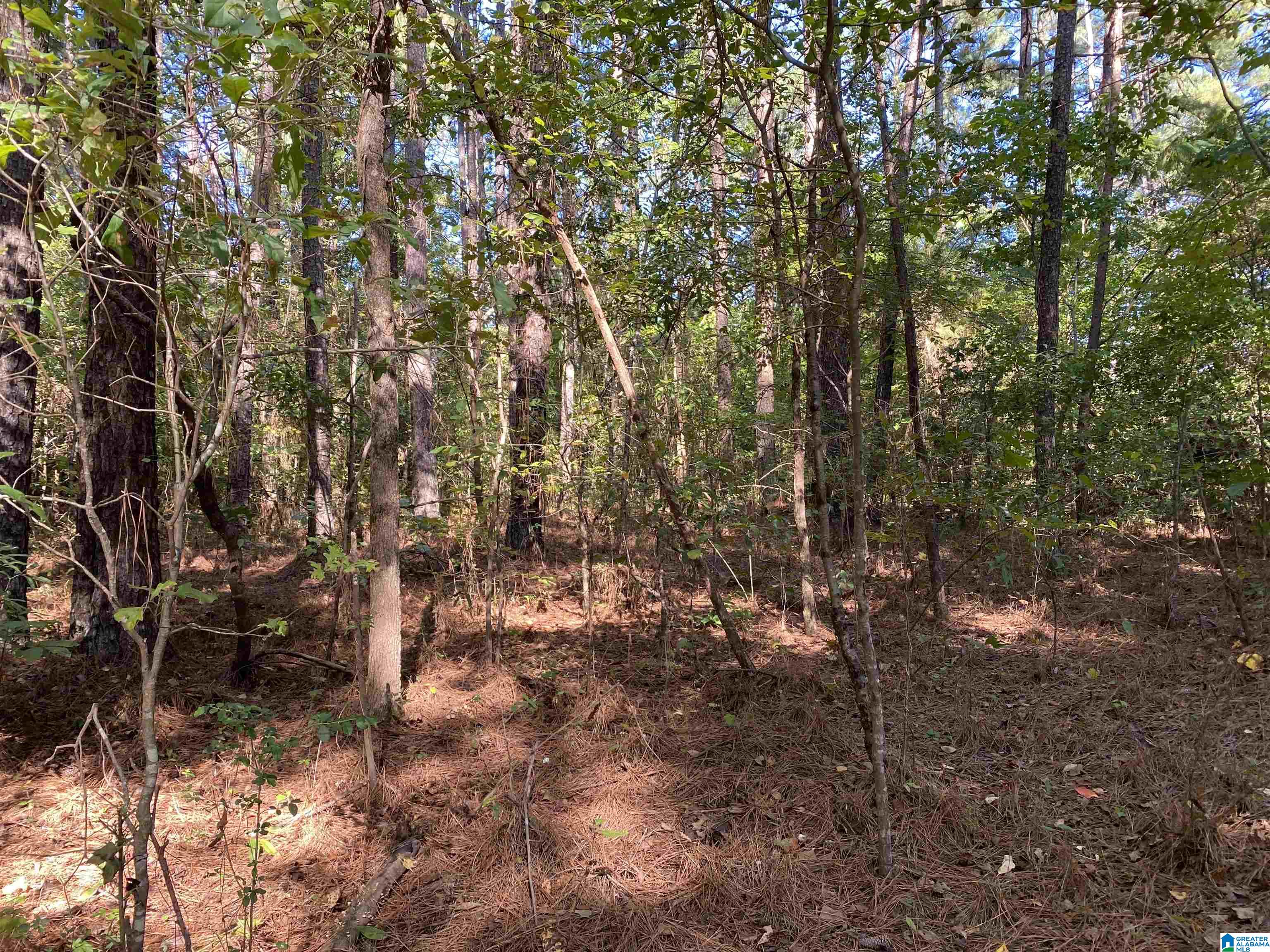 0 Hill Road Empire, AL 35063 - Photo 2 of 3