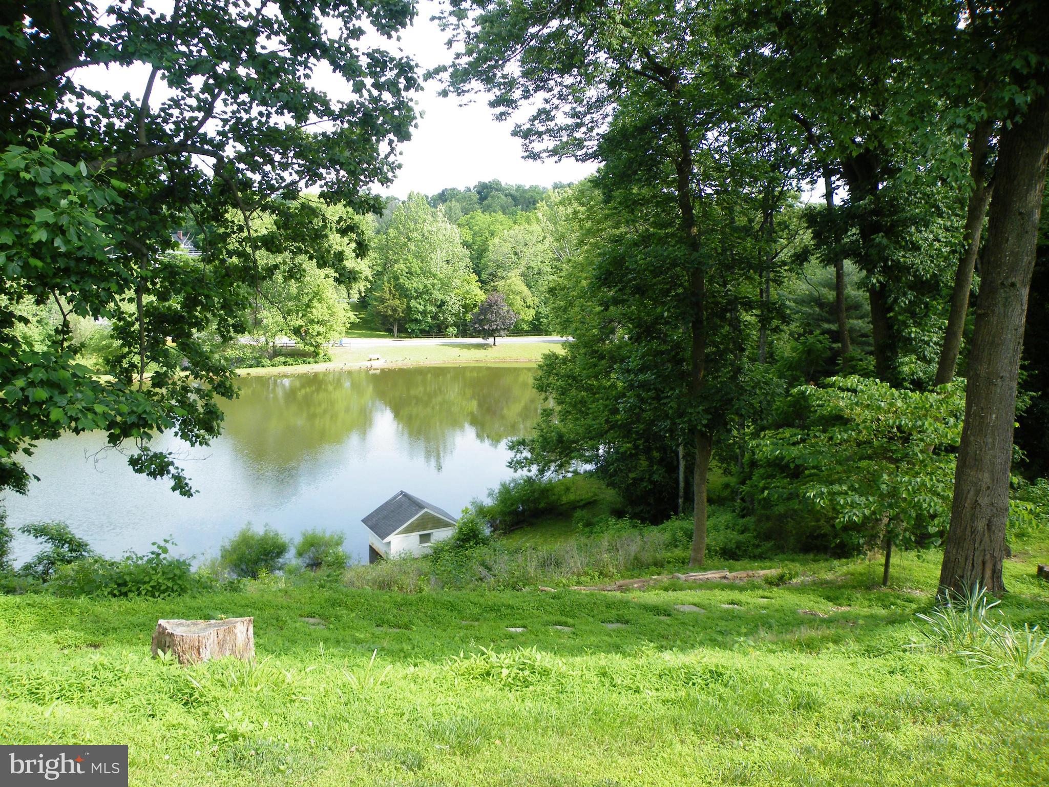a view of a lake with a yard and large trees