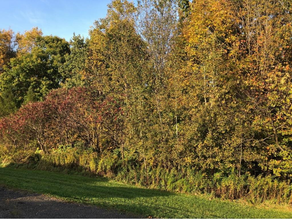 1431 Farm To Market Road Endicott, NY 13760 - Photo 8 of 31 Gallery Image 8