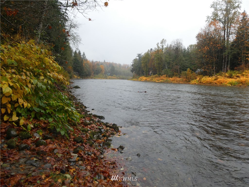 51801 South Riverside Road Gold Bar, WA 98251 - Photo 1 of 25 a view of a lake with trees