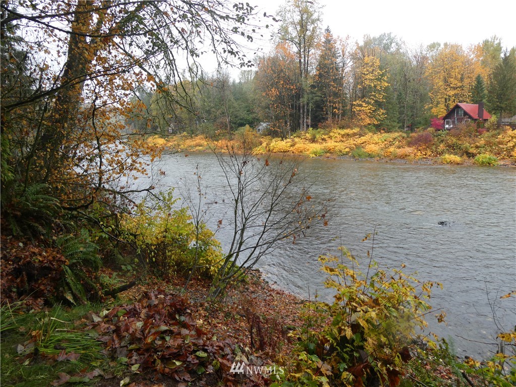 51801 South Riverside Road Gold Bar, WA 98251 - Photo 2 of 25 a view of a yard with a large trees