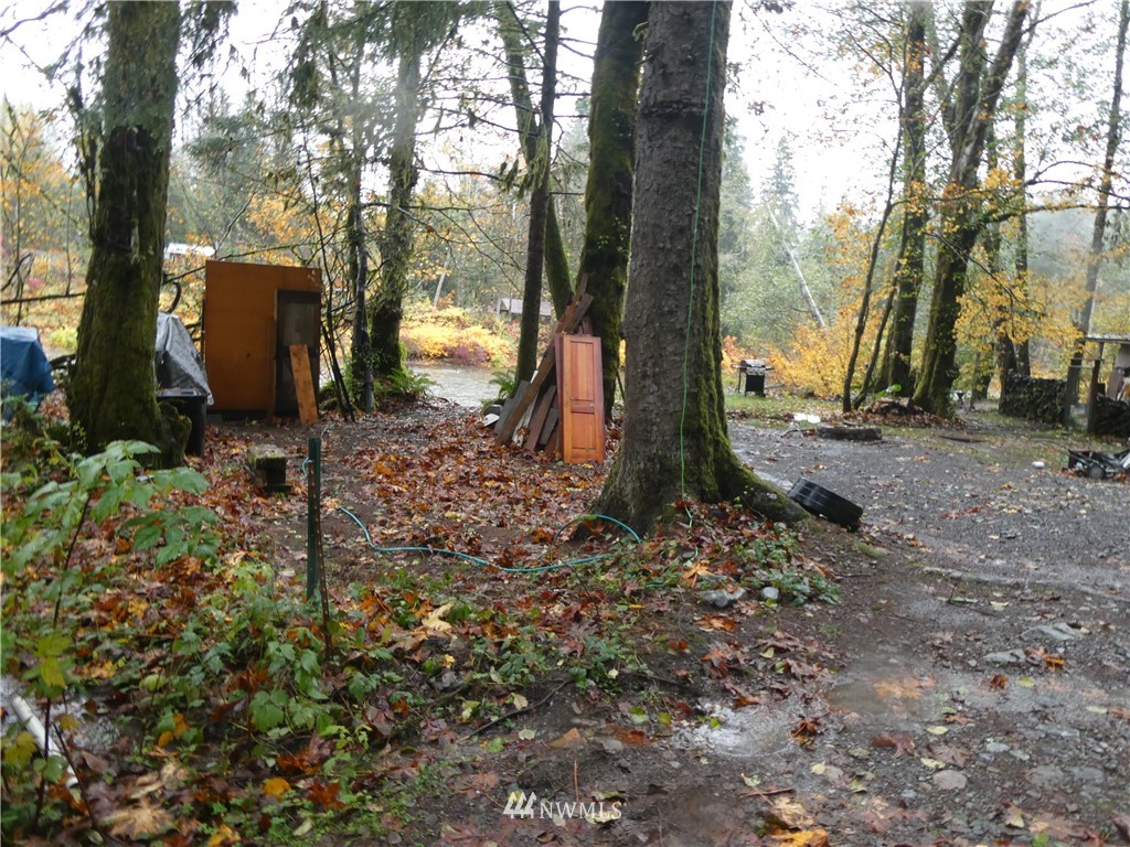 51801 South Riverside Road Gold Bar, WA 98251 - Photo 15 of 25 a backyard of a house with lots of green space