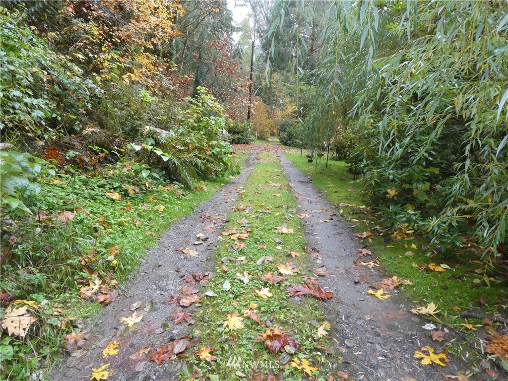 51801 South Riverside Road Gold Bar, WA 98251 - Photo 16 of 25 a view of a pathway both side of yard