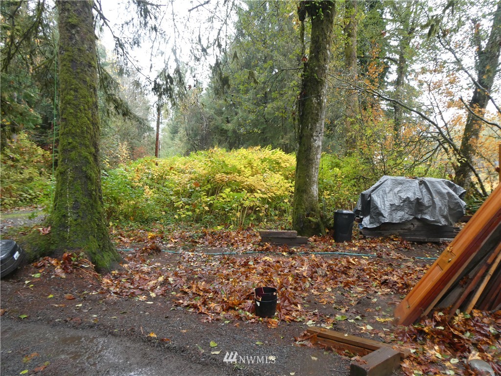 51801 South Riverside Road Gold Bar, WA 98251 - Photo 17 of 25 a view of a yard with large trees
