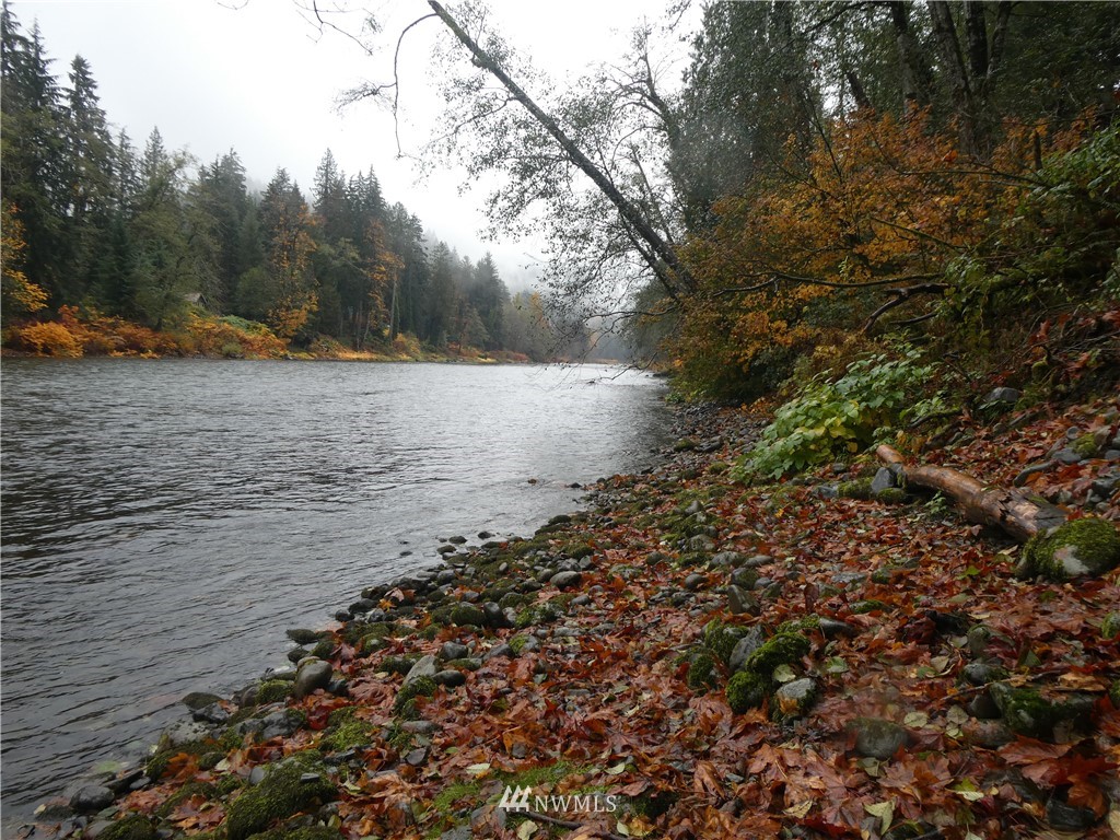 51801 South Riverside Road Gold Bar, WA 98251 - Photo 19 of 25
