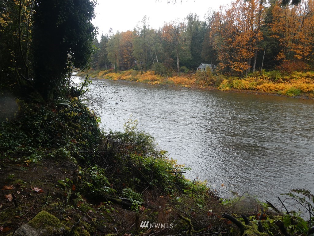 51801 South Riverside Road Gold Bar, WA 98251 - Photo 21 of 25 a view of a yard with swimming pool