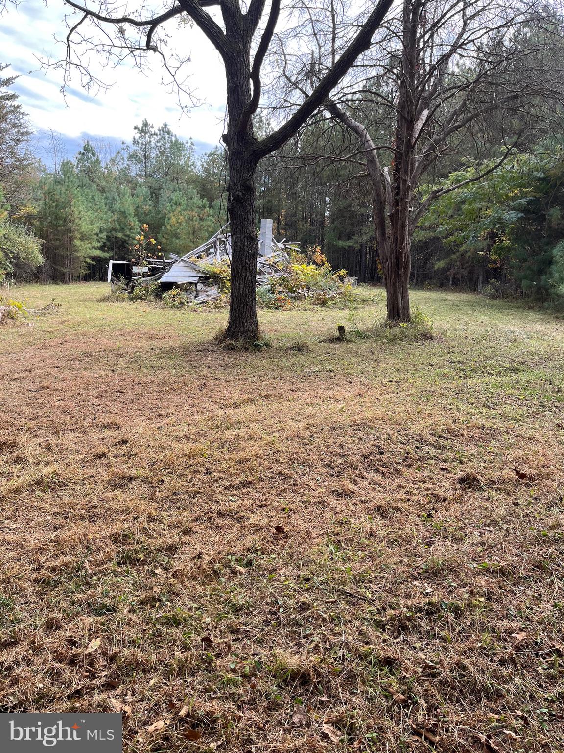 14686 Dry Bridge Road Ruther Glen, VA 22546 - Photo 1 of 4 a view of a yard with a tree