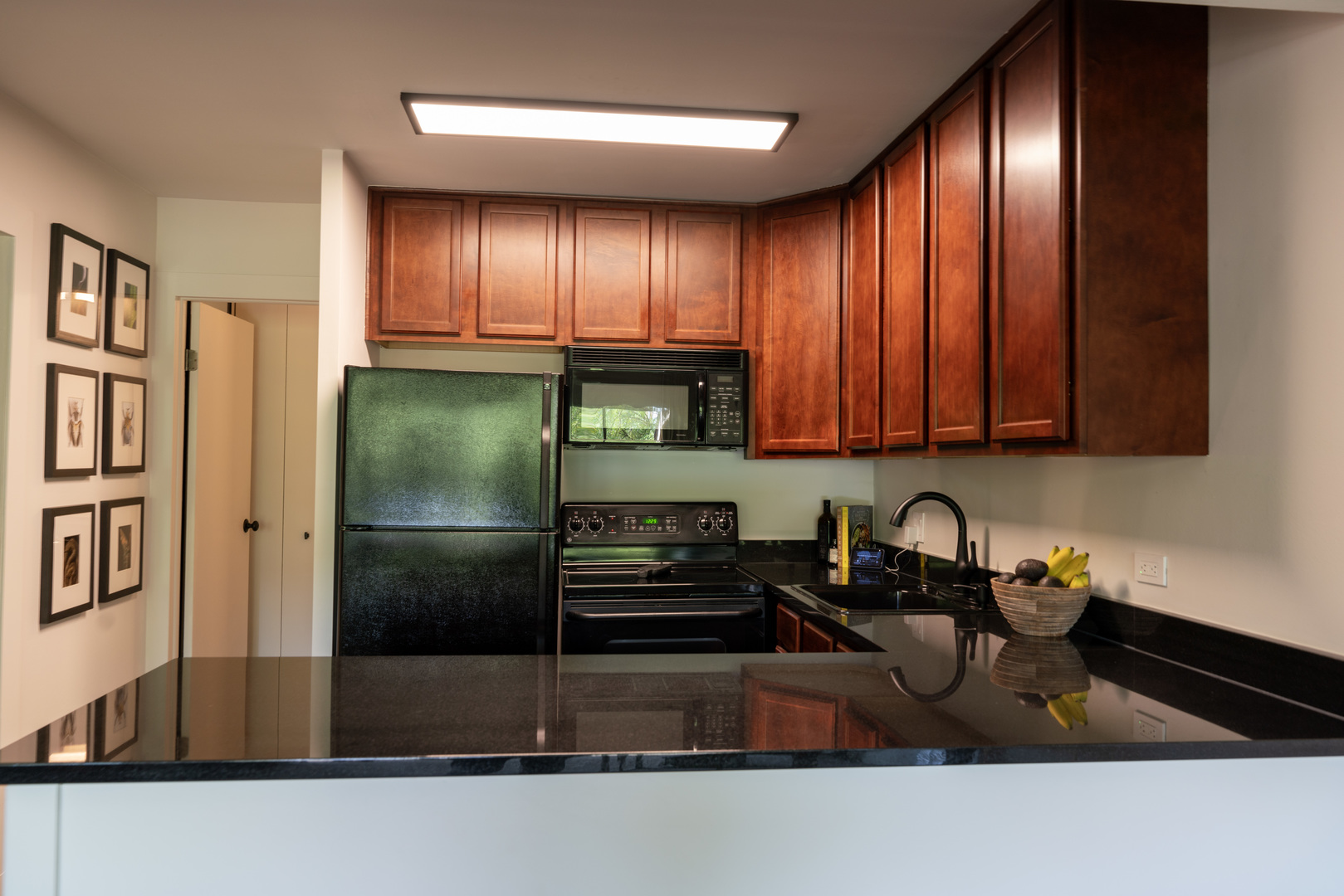 5880 Forest View Road, Unit F Lisle, IL 60532 - Photo 10 of 39 a kitchen with stainless steel appliances granite countertop a refrigerator and a sink