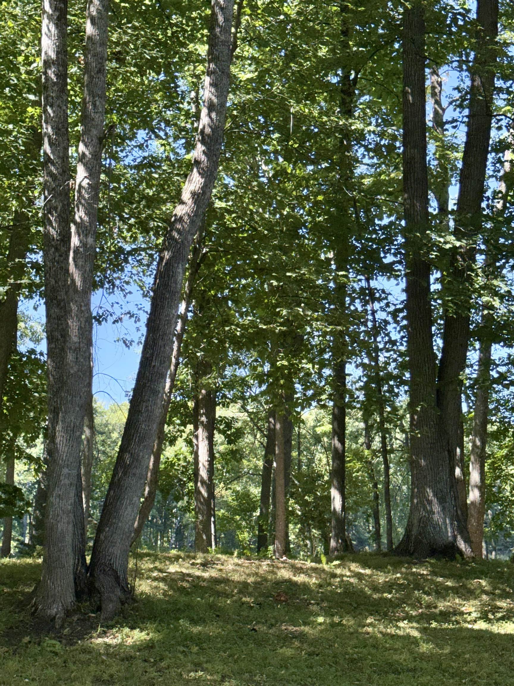 N11169 Rademaker Road, Unit 12 Wausaukee, WI 54177 - Photo 12 of 18 Gallery Image 12