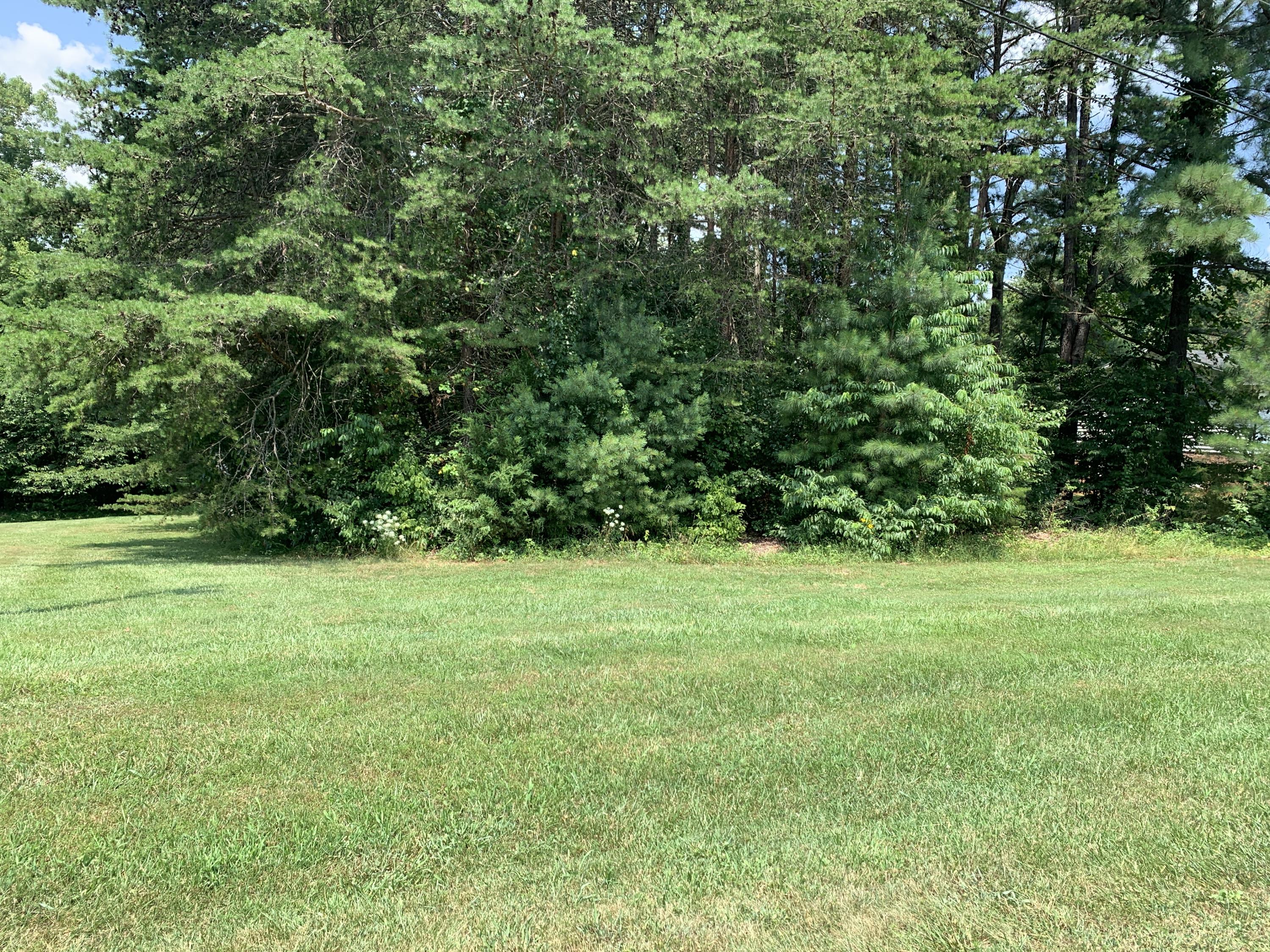 331 Rakes Road Rocky Mount, VA 24151 - Photo 47 of 48 46 Back Yard