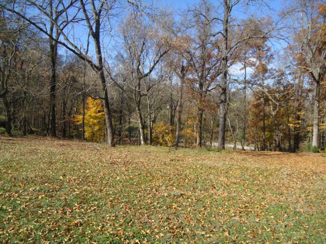 501 Spring Lane Columbia, TN 38401 - Photo 3 of 15 Beautiful back yard lined with trees.