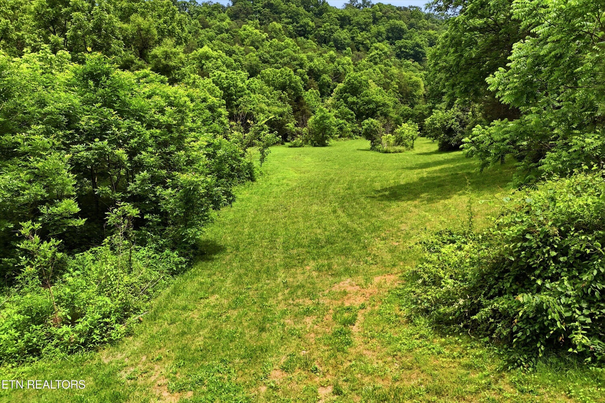 9613 Norris Freeway Heiskell, TN 37754 - Photo 51 of 60
