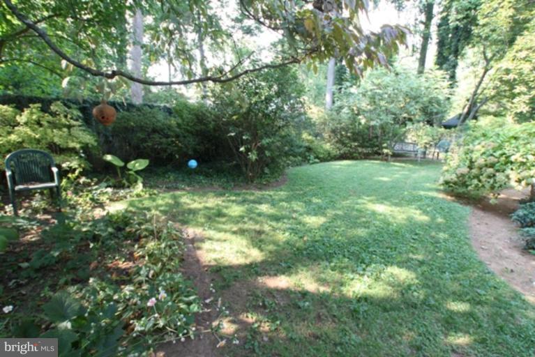 8006 Custer Road Bethesda, MD 20814 - Photo 6 of 16 Back yard
