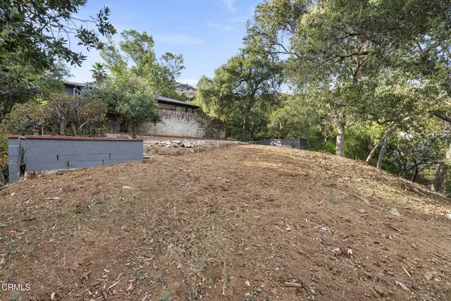 a view of backyard and tree