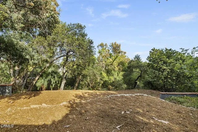 a view of outdoor space and yard