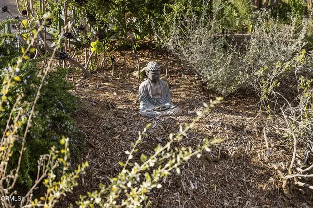 a view of a garden with plants and a bench