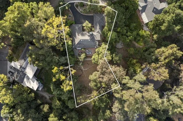 a picture of flowers