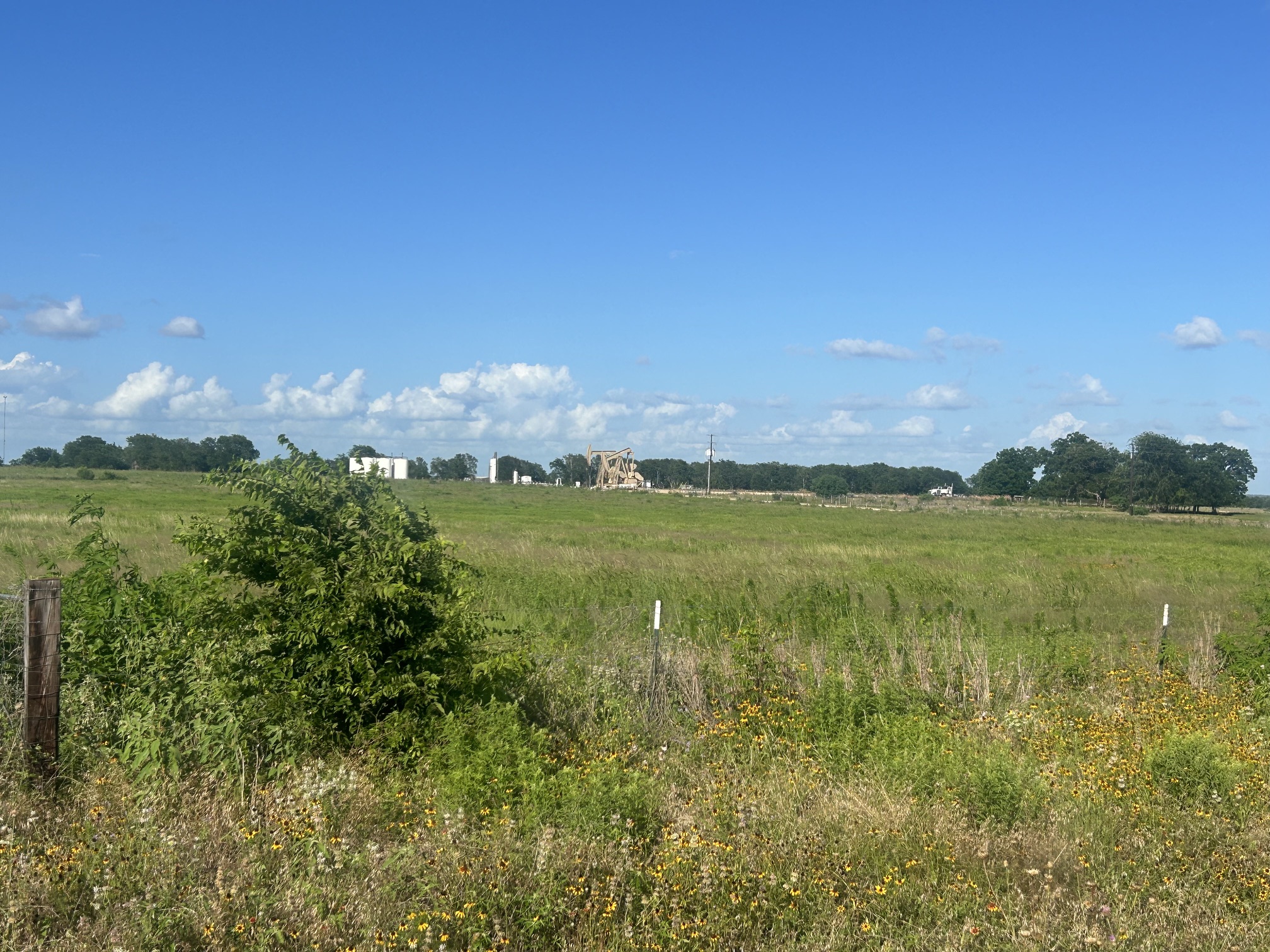 9012 Fm 141 Road Dime Box, TX 77853 - Photo 6 of 8 Open fields stretch under a broad blue sky, hinting at tranquil, rural living.