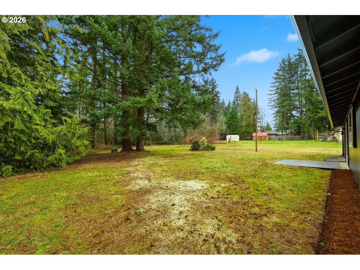 27910 Northeast 28th Street Camas, WA 98607 - Photo 23 of 25 a view of a park with large trees