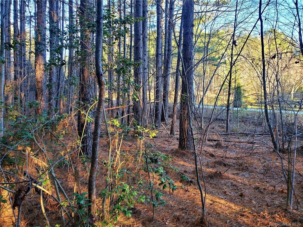 0 Grassy Knob Road Mill Spring, NC 28756 - Photo 22 of 29 a view of outdoor space