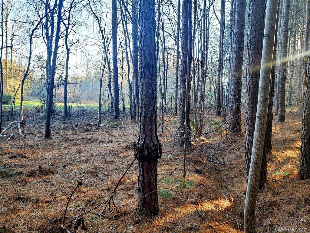 0 Grassy Knob Road Mill Spring, NC 28756 - Photo 23 of 29 a view of a backyard