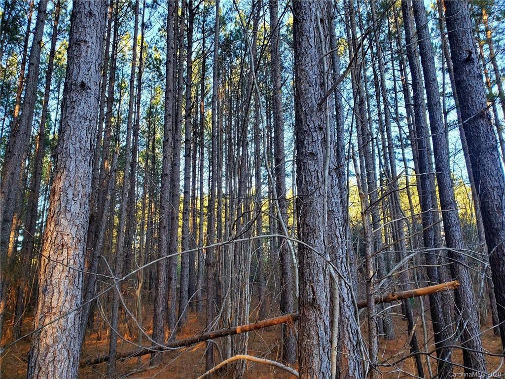 0 Grassy Knob Road Mill Spring, NC 28756 - Photo 29 of 29 a view of outdoor space and yard