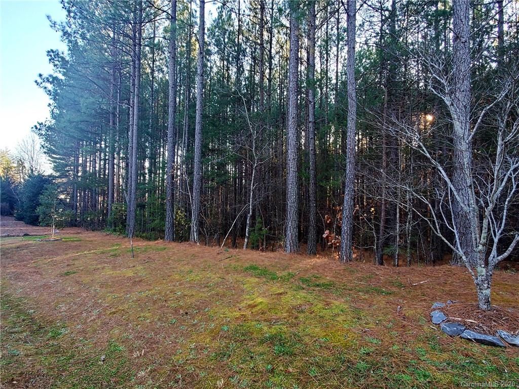 0 Grassy Knob Road Mill Spring, NC 28756 - Photo 4 of 29 a view of outdoor space and yard