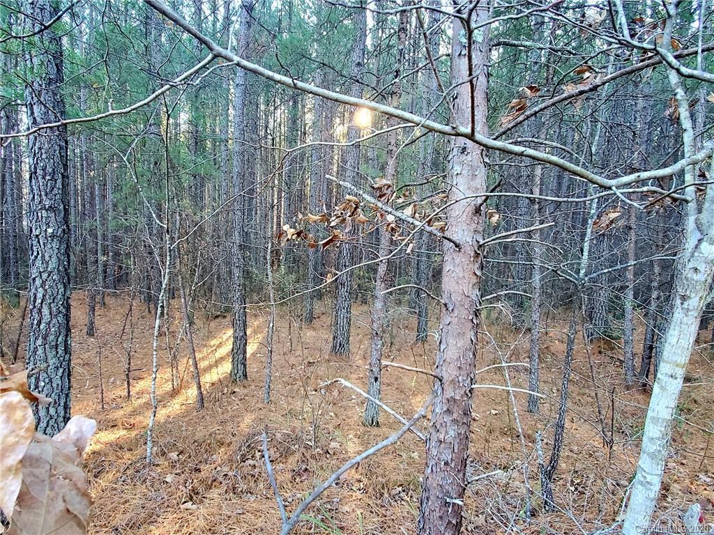 0 Grassy Knob Road Mill Spring, NC 28756 - Photo 5 of 29 a view of a yard