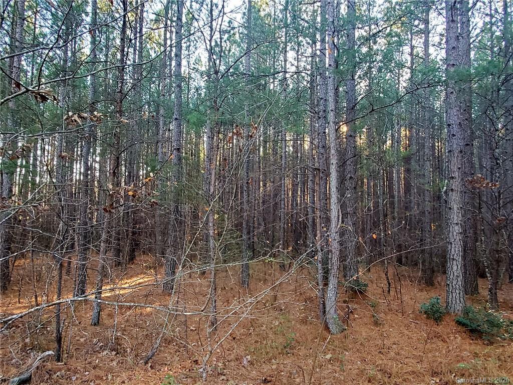 0 Grassy Knob Road Mill Spring, NC 28756 - Photo 6 of 29 a view of forest