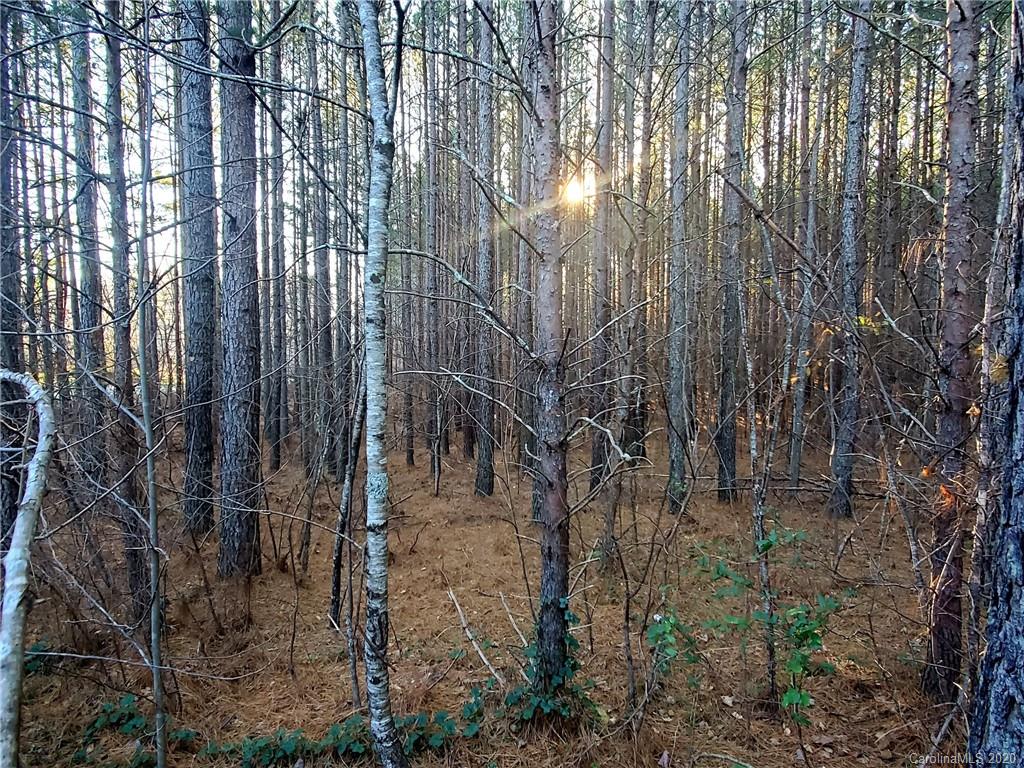 0 Grassy Knob Road Mill Spring, NC 28756 - Photo 7 of 29 a backyard of a building with lots of trees