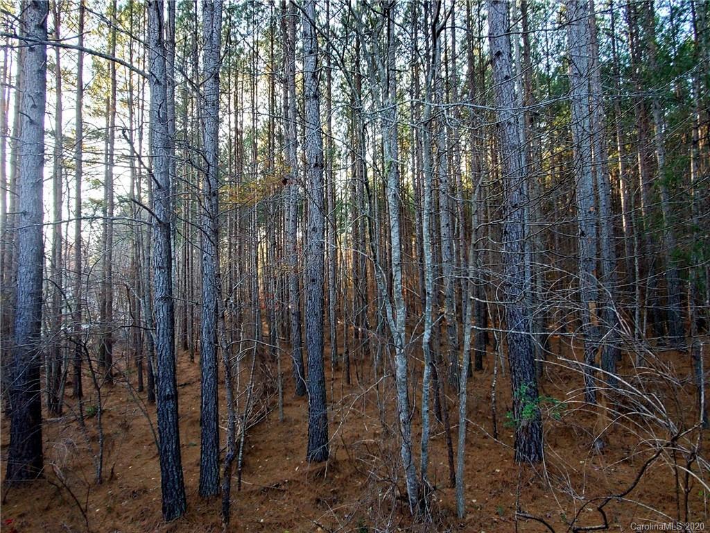 0 Grassy Knob Road Mill Spring, NC 28756 - Photo 9 of 29 a view of a forest with trees