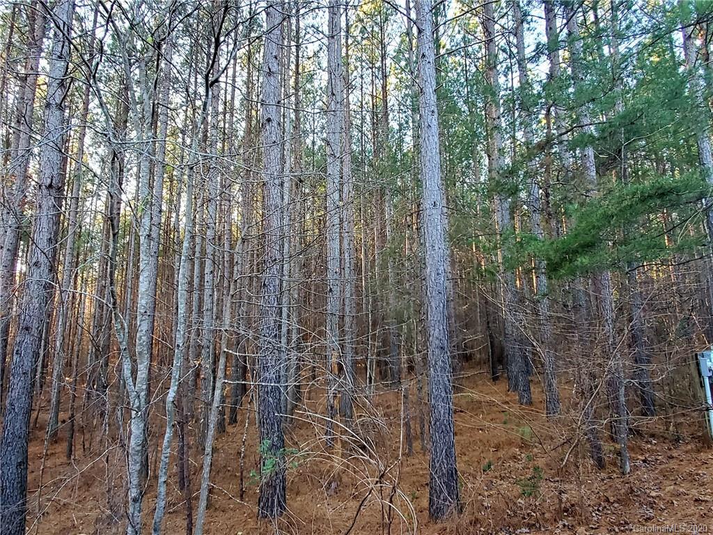 0 Grassy Knob Road Mill Spring, NC 28756 - Photo 10 of 29