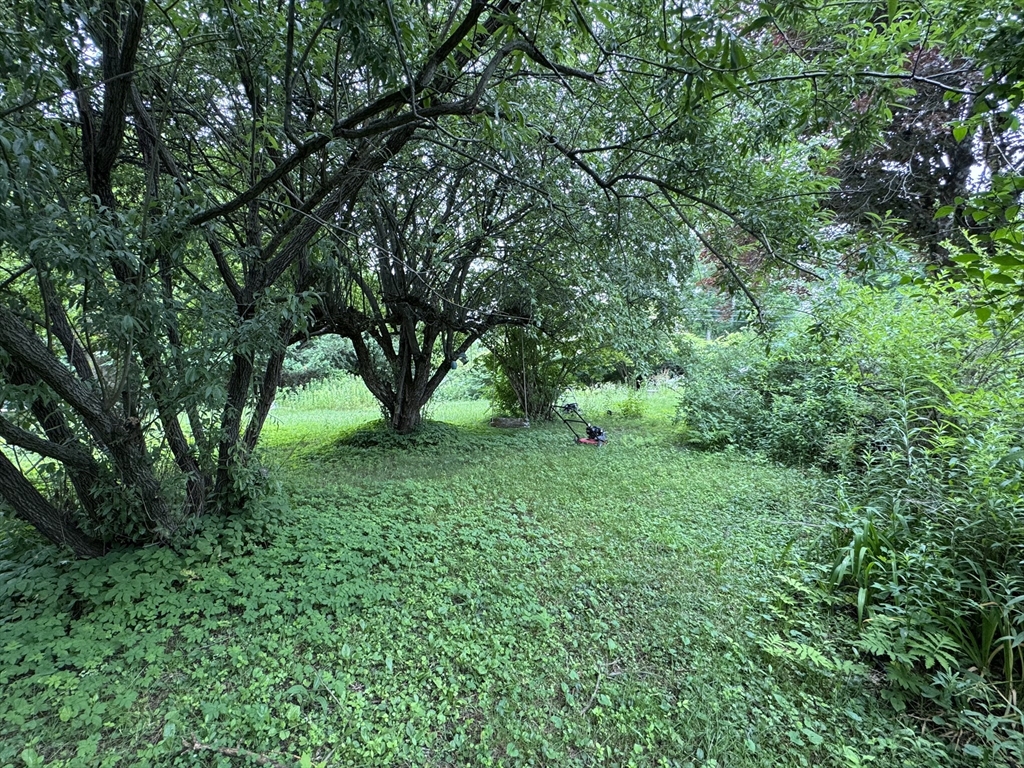 0 Boyden Road Conway, MA 01341 - Photo 10 of 13