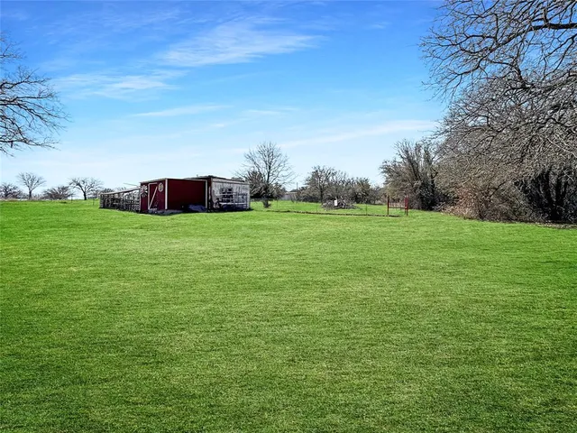 a view of a big yard with plants and large trees