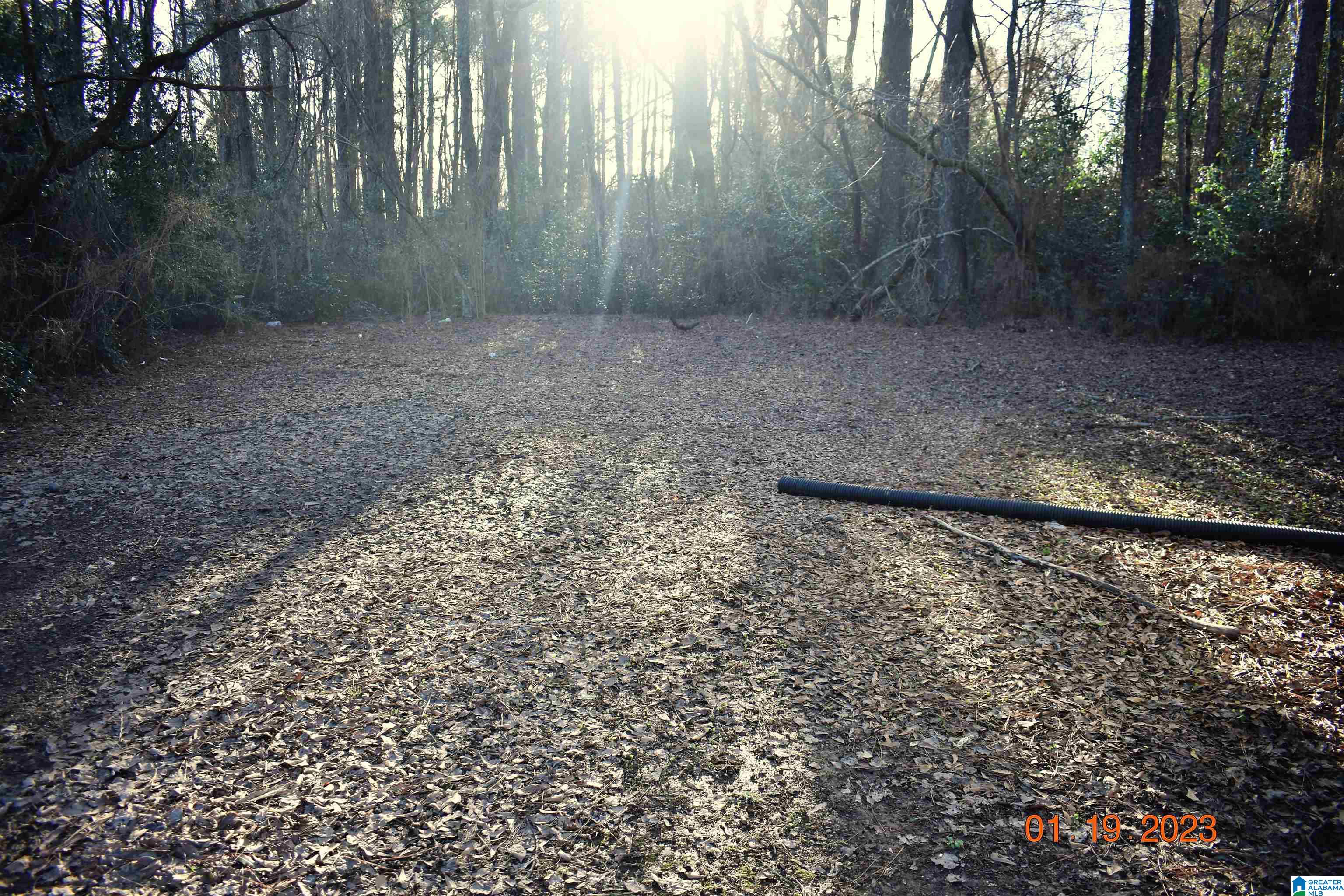 2487 Martin Road Birmingham, AL 35235 - Photo 2 of 21